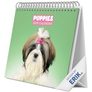 Grupo Erik Desk Calendar 2026 Dog Calendar 2026 Calendar 2026 Month To View Monthly Desk Planner, Desktop Gifts Under 10 Pounds Gifts For Dog Lovers Grupo Erik Desk Calendar 2026 Dog Calendar 2026 Calendar 2026 Month To View Monthly Desk Planner, Desktop Gifts Under 10 Pounds Gifts For Dog Lovers