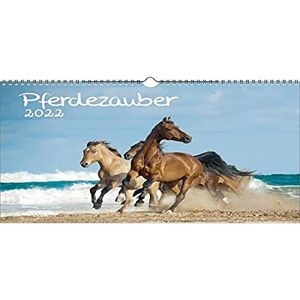 Seelenzauber Horse Magic DIN A3 Calendar for 2022 Horses and Foals Seelenzauber Horse Magic DIN A3 Calendar for 2022 Horses and Foals