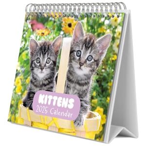 Grupo Erik Cat Desk Calendar 2025 8 x 7 inches 20 x 17 cm 12 Month Desk Planner, Desktop Calendar 2025 Cat Calendar 2025, Cats Calendar 2025 Grupo Erik Cat Desk Calendar 2025 8 x 7 inches 20 x 17 cm 12 Month Desk Planner, Desktop Calendar 2025 Cat Calendar 2025, Cats Calendar 2025