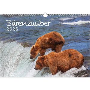 Seelenzauber Bärenzauber DIN A3 calendar for 2023 bears soul magic, multicoloured, KN2023-3W-0029-D-0 Seelenzauber Bärenzauber DIN A3 calendar for 2023 bears soul magic, multicoloured, KN2023-3W-0029-D-0