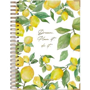 DOHE Dreambook Notebook A4 Blank Interior, 192 White Pages, Size 21.5 x 30 cm, Hard Cover, Double Gold Spiral (Wire’o) Takenote Agatha DOHE Dreambook Notebook A4 Blank Interior, 192 White Pages, Size 21.5 x 30 cm, Hard Cover, Double Gold Spiral (Wire’o) Takenote Agatha