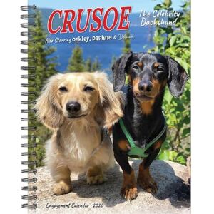 Crusoe the Celebrity Dachshund 2026 Engagement Calendar Crusoe the Celebrity Dachshund 2026 Engagement Calendar