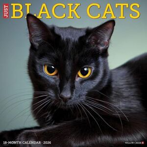 Willow Creek Press Black Cats 2026 Wall Calendar Willow Creek Press Black Cats 2026 Wall Calendar