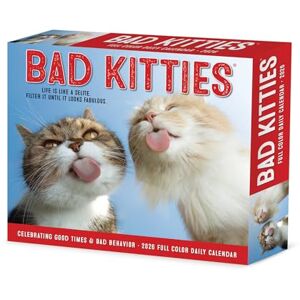 Willow Creek Press Bad Kitties 2026 Box Calendar Willow Creek Press Bad Kitties 2026 Box Calendar