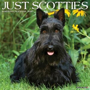 Willow Creek Press Scotties 2026 Wall Calendar Willow Creek Press Scotties 2026 Wall Calendar
