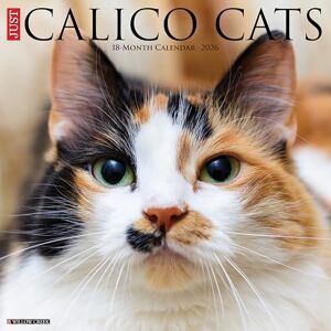 Willow Creek Press Calico Cats 2026 Wall Calendar Willow Creek Press Calico Cats 2026 Wall Calendar