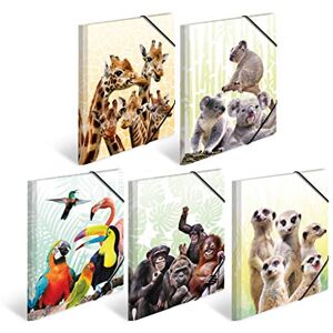 HERMA 19956 Portfolio Folder DIN A4 Exotic Animals Set of 10 Sturdy Plastic Organiser Folder with Printed Inner Flaps and Elastic Band, Document Folder for Children, Boys and Girls HERMA 19956 Portfolio Folder DIN A4 Exotic Animals Set of 10 Sturdy Plastic Organiser Folder with Printed Inner Flaps and Elastic Band, Document Folder for Children, Boys and Girls