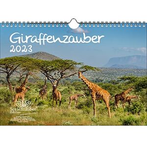 Seelenzauber Giraffe Magic DIN A4 Calendar for 2023 Giraffes Seelenzauber Giraffe Magic DIN A4 Calendar for 2023 Giraffes