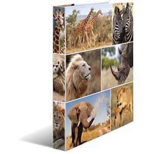 HERMA 19307 Ring Binders A4 Animals Africa, Pack of 3, Slim, 4 Rings, 35 mm Wide, Cardboard Folder with Inner Print for School and Office, Sturdy Cardboard Ring Binder Set for Boys and Girls HERMA 19307 Ring Binders A4 Animals Africa, Pack of 3, Slim, 4 Rings, 35 mm Wide, Cardboard Folder with Inner Print for School and Office, Sturdy Cardboard Ring Binder Set for Boys and Girls
