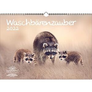 Seelenzauber Raccoon Magic DIN A3 Calendar for 2022 Raccoons Soul Magic Seelenzauber Raccoon Magic DIN A3 Calendar for 2022 Raccoons Soul Magic
