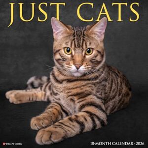 Willow Creek Press Cats 2026 Wall Calendar Willow Creek Press Cats 2026 Wall Calendar