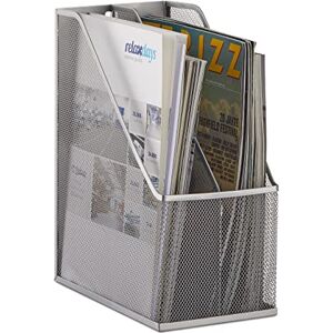 Relaxdays Standing File Holder, 2 Compartments, Metal Mesh, Sturdy Rack, A4-C4, Document Organiser, Silver, Steel, 25 x 14.3 x 31.5 cm Relaxdays Standing File Holder, 2 Compartments, Metal Mesh, Sturdy Rack, A4-C4, Document Organiser, Silver, Steel, 25 x 14.3 x 31.5 cm