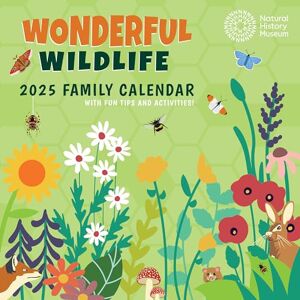 Portico Designs Ltd 2025 Natural History Museum Wonderful Wildlife Square Family Wall Calendar Portico Designs Ltd 2025 Natural History Museum Wonderful Wildlife Square Family Wall Calendar
