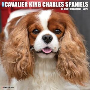 Willow Creek Press Cavalier King Charles Spaniels 2026 Wall Calendar Willow Creek Press Cavalier King Charles Spaniels 2026 Wall Calendar