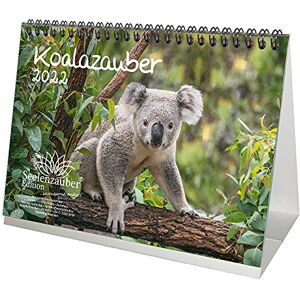 Seelenzauber Koalazauber DIN A5 Desk Calendar for 2022 Koala Bears, Koala Seelenzauber Koalazauber DIN A5 Desk Calendar for 2022 Koala Bears, Koala