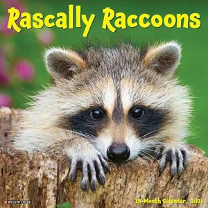 Willow Creek Press Rascally Raccoons 2026 Wall Calendar Willow Creek Press Rascally Raccoons 2026 Wall Calendar