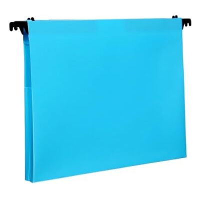 Ethellia Expandable Hanging File Organiser for Space, Light Blue A4STYLE Large Capacity Filing Cabinet Document Organiser for Holding Files Cards Photos Artwork Ethellia Expandable Hanging File Organiser for Space, Light Blue A4STYLE Large Capacity Filing Cabinet Document Organiser for Holding Files Cards Photos Artwork