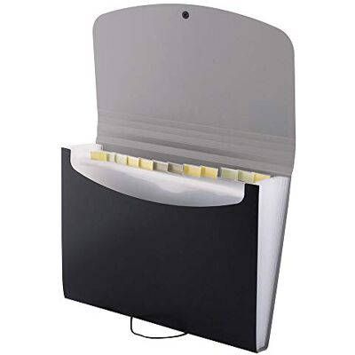 D.RECT Filing Cabinet Document Holder Expandable Briefcase Document Sorter A4 Document Sorter Accordion Binder 12 compartments A4 Perfect for Office or Home Black D.RECT Filing Cabinet Document Holder Expandable Briefcase Document Sorter A4 Document Sorter Accordion Binder 12 compartments A4 Perfect for Office or Home Black