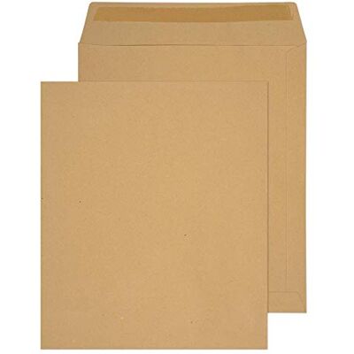 Blake Purely Everyday 330 x 279 mm 115 gsm Pocket Gummed Envelopes (3325) Manilla Pack of 250 Blake Purely Everyday 330 x 279 mm 115 gsm Pocket Gummed Envelopes (3325) Manilla Pack of 250