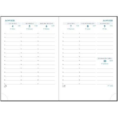 Exacompta 13872E Horizons Pocket Week to View Diary Refill 13-9 x 13 cm January to December 2025 Gold Slice Exacompta 13872E Horizons Pocket Week to View Diary Refill 13-9 x 13 cm January to December 2025 Gold Slice