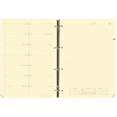 QUO VADIS 270004Q Timer 29 Notes Calendar-View Diary Refill FR S/F 21 x 29.7 cm 2013 in French QUO VADIS 270004Q Timer 29 Notes Calendar-View Diary Refill FR S/F 21 x 29.7 cm 2013 in French