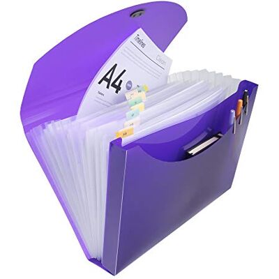 Exacompta Ref 58770E Iderama Collection Multipart Expanding Case 330 x 250mm in Size, Ideal for A4 Documents, 13 Tabbed Sections, Polypropylene Assorted Colours Exacompta Ref 58770E Iderama Collection Multipart Expanding Case 330 x 250mm in Size, Ideal for A4 Documents, 13 Tabbed Sections, Polypropylene Assorted Colours