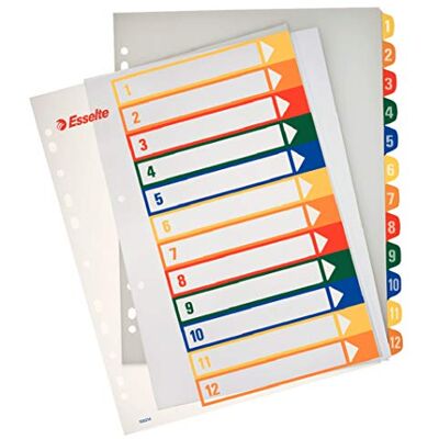 Esselte A4 12 Positions Printable Index Polypropylene Esselte A4 12 Positions Printable Index Polypropylene