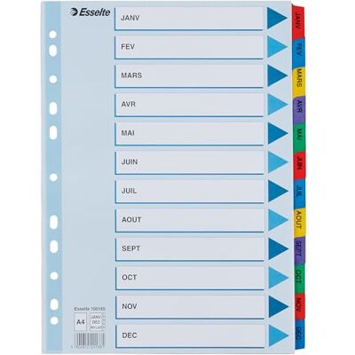Esselte 100165 Printed Keys Mylar Dividers A4 January to December Esselte 100165 Printed Keys Mylar Dividers A4 January to December