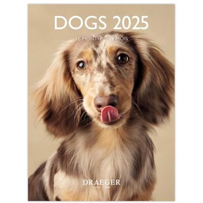 DRAEGER PARIS 1886 Compact 2025 Wall Calendar with 12 Dogs-Themed Photos 14 x 18 cm September 2024 to Dec 2025-7 Languages High Quality Stylish Design Daily Organization DRAEGER PARIS 1886 Compact 2025 Wall Calendar with 12 Dogs-Themed Photos 14 x 18 cm September 2024 to Dec 2025-7 Languages High Quality Stylish Design Daily Organization