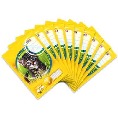 LANDRE Landré School Notebook - 50 Pages, A5, Lined, 1st Grade LANDRE Landré School Notebook - 50 Pages, A5, Lined, 1st Grade