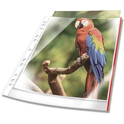Durable Premium A4 Poly Pockets with Coloured Edge Red Crystal Clear and Made from PP Pack of 100 Plastic Wallets Durable Premium A4 Poly Pockets with Coloured Edge Red Crystal Clear and Made from PP Pack of 100 Plastic Wallets