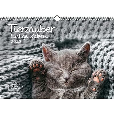 Seelenzauber Animal Magic Funny Cats DIN A3 Calendar for 2022 Funny Cats Seelenzauber Animal Magic Funny Cats DIN A3 Calendar for 2022 Funny Cats
