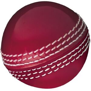 Gunn & Moore GM Cricket Training Ball, Skills Ball, Red, Size Junior Suitable for Children, Boys and Girls Aged 12 and Under Gunn & Moore GM Cricket Training Ball, Skills Ball, Red, Size Junior Suitable for Children, Boys and Girls Aged 12 and Under