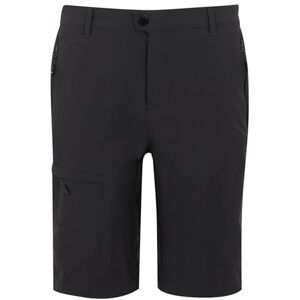 Regatta Mens Highton Long Shorts, Water Repellent & Multi Pocketed Outdoor Active Walking Shorts Perfect for Hiking & Camping Grey Regatta Mens Highton Long Shorts, Water Repellent & Multi Pocketed Outdoor Active Walking Shorts Perfect for Hiking & Camping Grey
