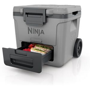 Ninja FrostVault Heavy-Duty Insulated Cool Box, Wheeled Premium Cooler with Dry Zone Integrated Fridge-Temp Dry Storage Drawer, Keeps Ice for Days, Fits up to 48 Cans, Slate Grey, FB230EUGY Ninja FrostVault Heavy-Duty Insulated Cool Box, Wheeled Premium Cooler with Dry Zone Integrated Fridge-Temp Dry Storage Drawer, Keeps Ice for Days, Fits up to 48 Cans, Slate Grey, FB230EUGY
