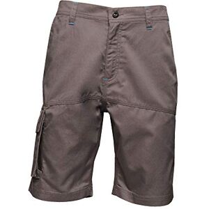 Regatta Professional Men's Heroic Cargo Shorts, Water Repellent Perfect for Outdoors, Walking, Hiking & Climbing Grey Regatta Professional Men's Heroic Cargo Shorts, Water Repellent Perfect for Outdoors, Walking, Hiking & Climbing Grey