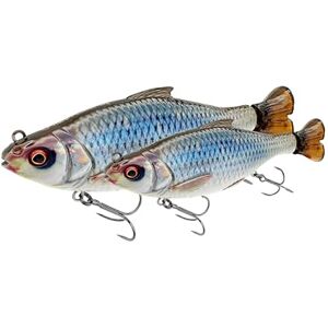 Savage Gear 3D Hard Pulsetail Roach – Ultra-Realistic Freshwater & Predator Fishing Swimbait, Long-Casting Hard Bait with Lifelike Roach Design, Pulsing Tail Action, Firetiger 13.5cm Savage Gear 3D Hard Pulsetail Roach – Ultra-Realistic Freshwater & Predator Fishing Swimbait, Long-Casting Hard Bait with Lifelike Roach Design, Pulsing Tail Action, Firetiger 13.5cm