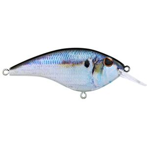 Berkley Frittside Fishing Hard Bait, HD Threadfin Shad, 2 4/5 Inch 5 Biggun' (3/7 oz) Berkley Frittside Fishing Hard Bait, HD Threadfin Shad, 2 4/5 Inch 5 Biggun' (3/7 oz)