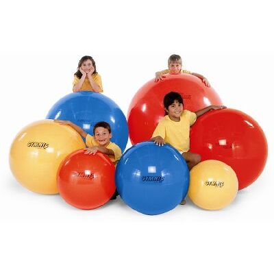 Gymnic - Gym Ball - Blue - 950mm - Exercise Ball Gymnic - Gym Ball - Blue - 950mm - Exercise Ball