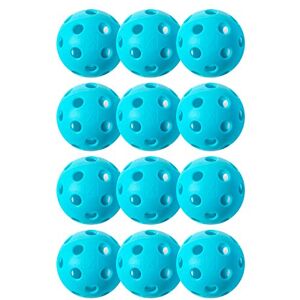 Franklin X-26 Indoor Pickleballs - Pickleballs Franklin X-26 Indoor Pickleballs - Pickleballs