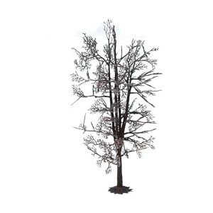 NOCH 22020 Tree Structure Lime Landscape Modelling NOCH 22020 Tree Structure Lime Landscape Modelling