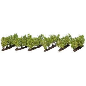 NOCH 21545 Vines Landscape Modelling NOCH 21545 Vines Landscape Modelling
