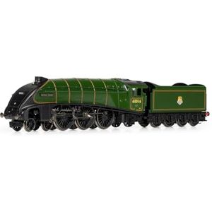 Hornby TT:120 Steam Train TT3008M BR Class A4 4-6-2 60016 'Silver King' Era 4 TT Gauge Locomotives for Train Set, Engine Models for Adults 1:120 Scale Model Gift Hornby TT:120 Steam Train TT3008M BR Class A4 4-6-2 60016 'Silver King' Era 4 TT Gauge Locomotives for Train Set, Engine Models for Adults 1:120 Scale Model Gift