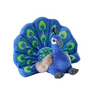 WILD REPUBLIC Cuddlekins Eco Mini Peacock, Stuffed Animal, 8 Inches, Plush Toy, Fill is Spun Recycled Water Bottles, Eco Friendly, Blue WILD REPUBLIC Cuddlekins Eco Mini Peacock, Stuffed Animal, 8 Inches, Plush Toy, Fill is Spun Recycled Water Bottles, Eco Friendly, Blue