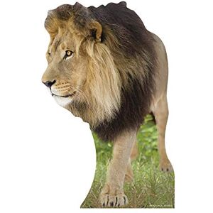 STAR CUTOUTS Cut Out of Lion STAR CUTOUTS Cut Out of Lion