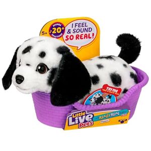 Little Live Pets My Really Real Puppy Minis- Pepper the Dalmatian Interactive Puppy with 20+ Sounds & Reactions- Includes Basket for Display. Fun & Adorable Gift for Kids (11cm/4.3in tall) Little Live Pets My Really Real Puppy Minis- Pepper the Dalmatian Interactive Puppy with 20+ Sounds & Reactions- Includes Basket for Display. Fun & Adorable Gift for Kids (11cm/4.3in tall)
