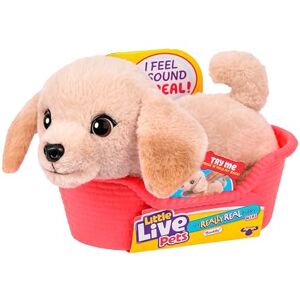 Little Live Pets My Really Real Puppy Minis- Buddy the Retriever Interactive Puppy with 20+ Sounds & Reactions- Includes Basket for Display. Fun & Adorable Gift for Kids (11cm/4.3in tall) Little Live Pets My Really Real Puppy Minis- Buddy the Retriever Interactive Puppy with 20+ Sounds & Reactions- Includes Basket for Display. Fun & Adorable Gift for Kids (11cm/4.3in tall)