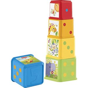 Fisher-Price Stack & Explore Blocks, Set of 5, Baby Stacking and Nesting Toys, for Infants Ages 6 Months and up, CDC52 Fisher-Price Stack & Explore Blocks, Set of 5, Baby Stacking and Nesting Toys, for Infants Ages 6 Months and up, CDC52