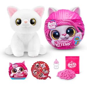 Pets Alive Smitten Kittens Sissy, Surprise Kitten Plush, Ultra Soft Plushies, Interactive Toy Pets, Electronic Pet Kitten, Ages 3+ (Sissy) Pets Alive Smitten Kittens Sissy, Surprise Kitten Plush, Ultra Soft Plushies, Interactive Toy Pets, Electronic Pet Kitten, Ages 3+ (Sissy)
