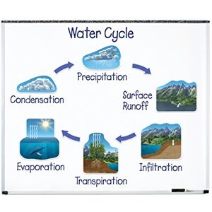 Learning Resources Giant Magnetic Water Cycle Learning Resources Giant Magnetic Water Cycle